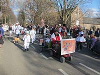 Karnevalszug 2014 - Bilder an der Kommandeursburg