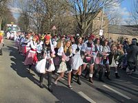 Karnevalszug 2014 - Bilder an der Kommandeursburg