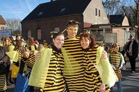 Karnevalszug 2008