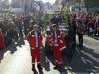 Karnevalszug 2011