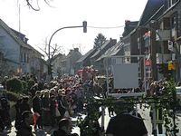 Karnevalszug 2011