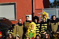 Karnevalszug 2015 - Bilder aus Bergerhausen