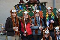 Karnevalszug 2015 - Bilder aus Bergerhausen