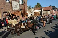 Karnevalszug 2015 - Bilder aus Bergerhausen