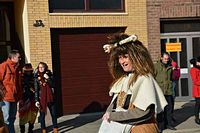 Karnevalszug 2015 - Bilder aus Bergerhausen