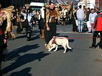 Karnevalszug 2015 - Bilder aus dem Oberdorf