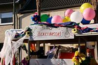 Karnevalszug 2015 - Bilder aus dem Unterdorf