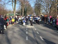 Karnevalszug 2015 - Bilder an der Kommandeursburg