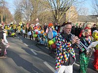 Karnevalszug 2015 - Bilder an der Kommandeursburg