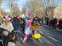 Karnevalszug 2015 - Bilder an der Kommandeursburg