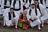 Karnevalszug 2016 - Bilder aus Bergerhausen