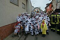 Karnevalszug 2016 - Bilder aus Bergerhausen