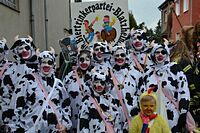 Karnevalszug 2016 - Bilder aus Bergerhausen