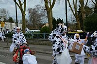 Karnevalszug 2016 - Bilder aus Bergerhausen