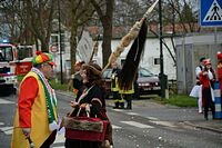 Karnevalszug 2016 - Bilder aus Bergerhausen