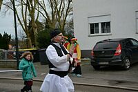 Karnevalszug 2016 - Bilder aus Bergerhausen