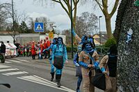 Karnevalszug 2016 - Bilder aus Bergerhausen