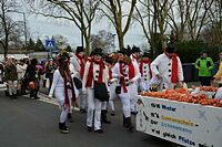 Karnevalszug 2016 - Bilder aus Bergerhausen