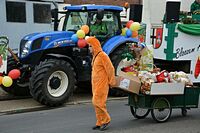 Karnevalszug 2016 - Bilder aus Bergerhausen