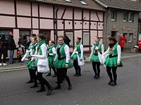 Karnevalszug 2016 - Bilder aus dem Unterdorf