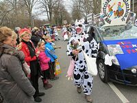 Karnevalszug 2016 - Bilder an der Kommandeursburg