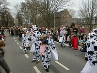 Karnevalszug 2016 - Bilder an der Kommandeursburg