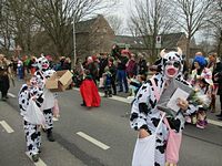 Karnevalszug 2016 - Bilder an der Kommandeursburg