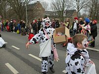 Karnevalszug 2016 - Bilder an der Kommandeursburg