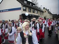 Karnevalszug 2009