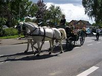 Schützenfest 2007