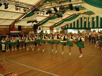 Prinzenball 2006