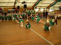 Prinzenball 2006