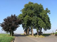 Kapelle Niederbolheim