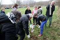 Aufstellen des Wildbienen-Hauses