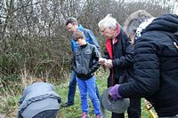 Aufstellen des Wildbienen-Hauses