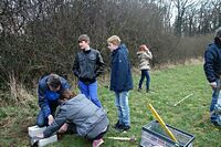 Aufstellen des Wildbienen-Hauses