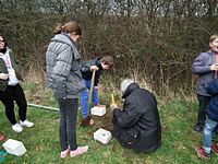 Aufstellen des Wildbienen-Hauses