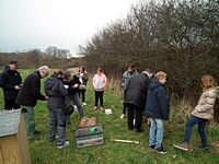 Aufstellen des Wildbienen-Hauses