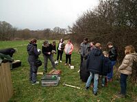 Aufstellen des Wildbienen-Hauses