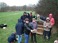 Aufstellen des Wildbienen-Hauses