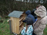 Aufstellen des Wildbienen-Hauses