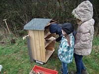 Aufstellen des Wildbienen-Hauses