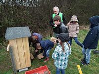 Aufstellen des Wildbienen-Hauses