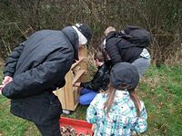 Aufstellen des Wildbienen-Hauses