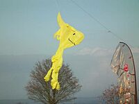 Drachenfliegen bei Gut Giffelsberg