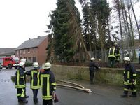 Baum blockierte Dorfstraße