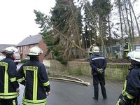 Baum blockierte Dorfstraße