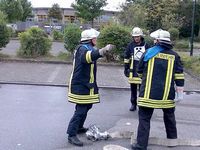 Kreisfeuerwehrtag 2008