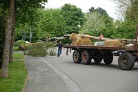 Maibaum der Feuerwehr