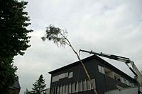 Maibaum der Feuerwehr